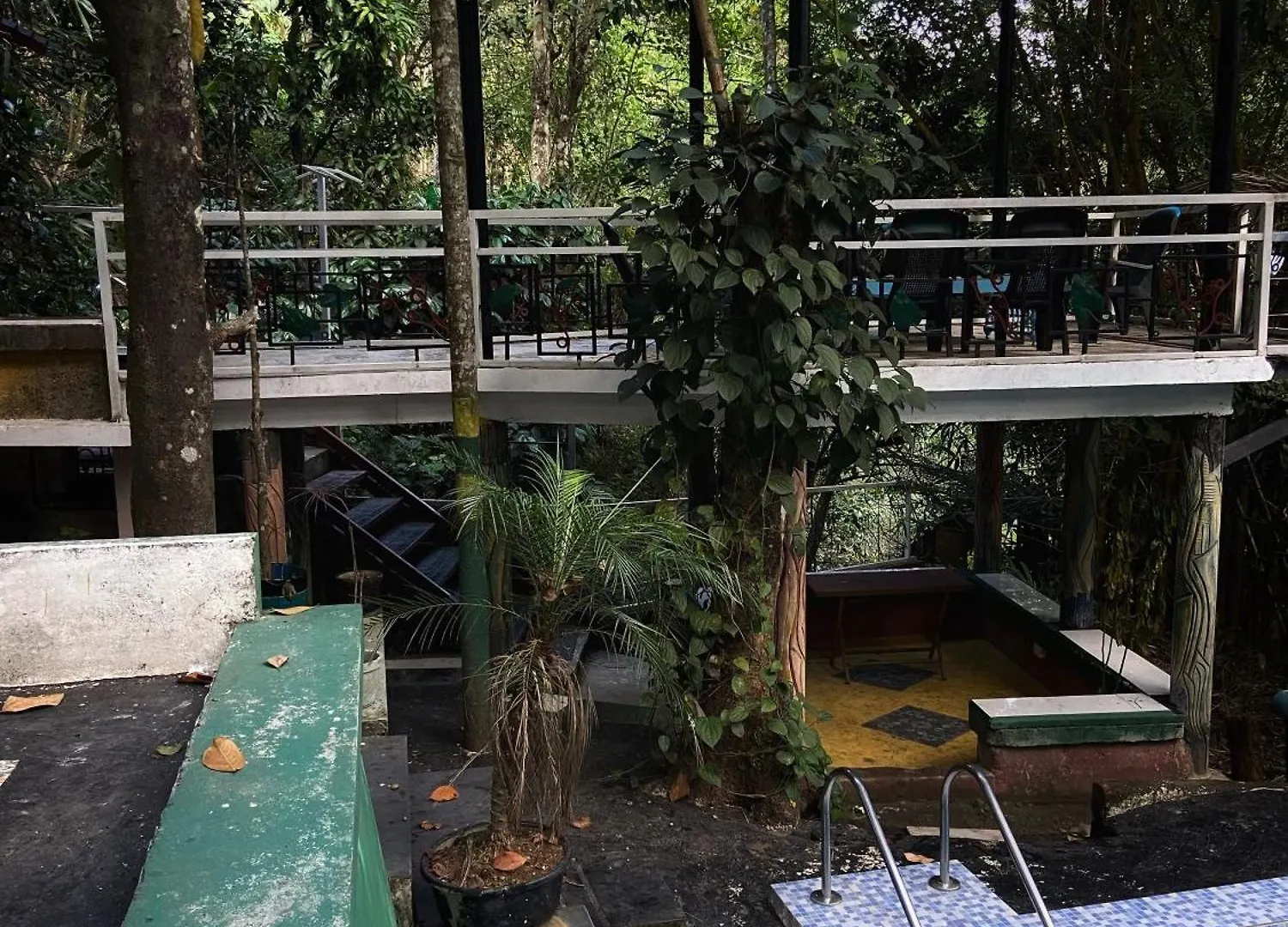 Edriz Artistic Home Meppādi