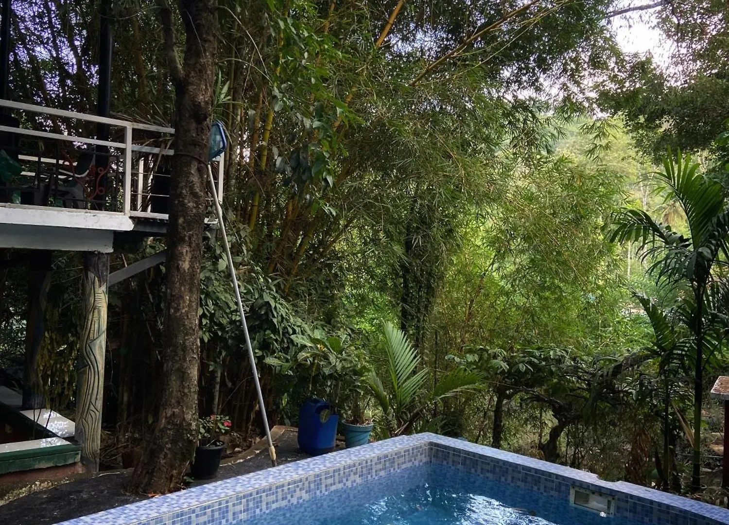 Bed & Breakfast Edriz Artistic Home Meppadi